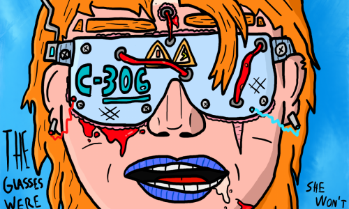 TheGlassesWereThereTheWholeTime